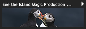 Island Magic Video 